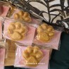Fondants Patte SPA