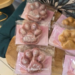 Fondants Patte SPA