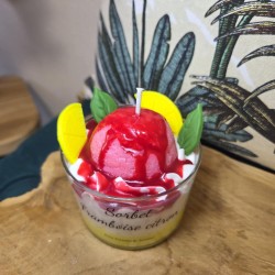 Sorbet framboise citron