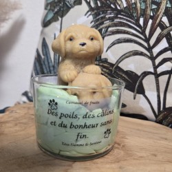 Truffe d'amour