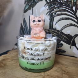 Miaou