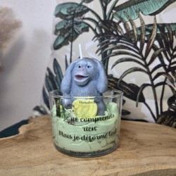 Singe de la sagesse