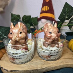 L'écureuil des bois