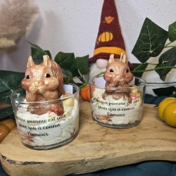 L'écureuil des bois