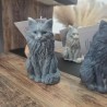 Le Maine Coon Le Maine Coon