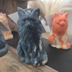 Le Maine Coon