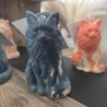 Le Maine Coon Le Maine Coon