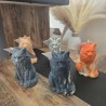 Le Maine Coon Le Maine Coon