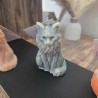 Le Maine Coon Le Maine Coon