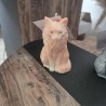 Le Maine Coon Le Maine Coon
